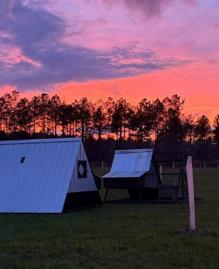 Farm Fresh Pasture Raised Eggs and Custom Chicken Tractors or Coops