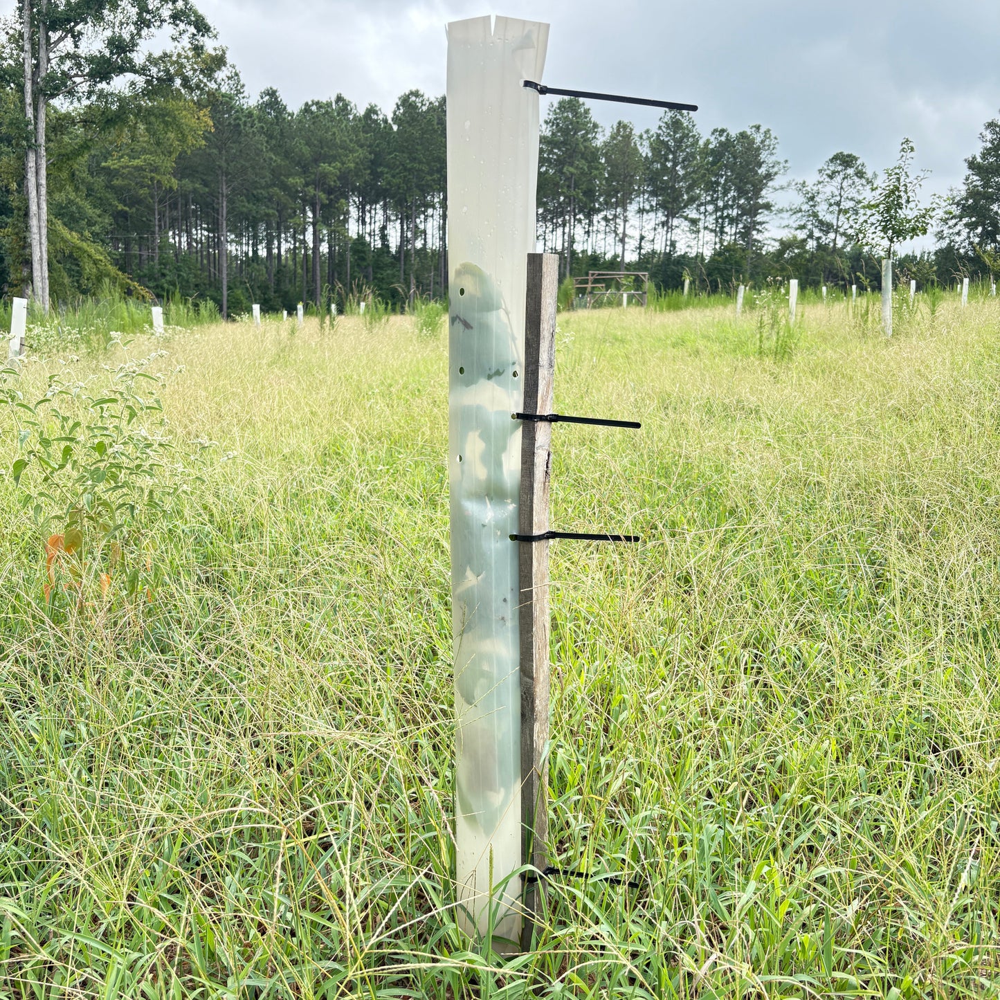 48" Oak Tree Support Stake