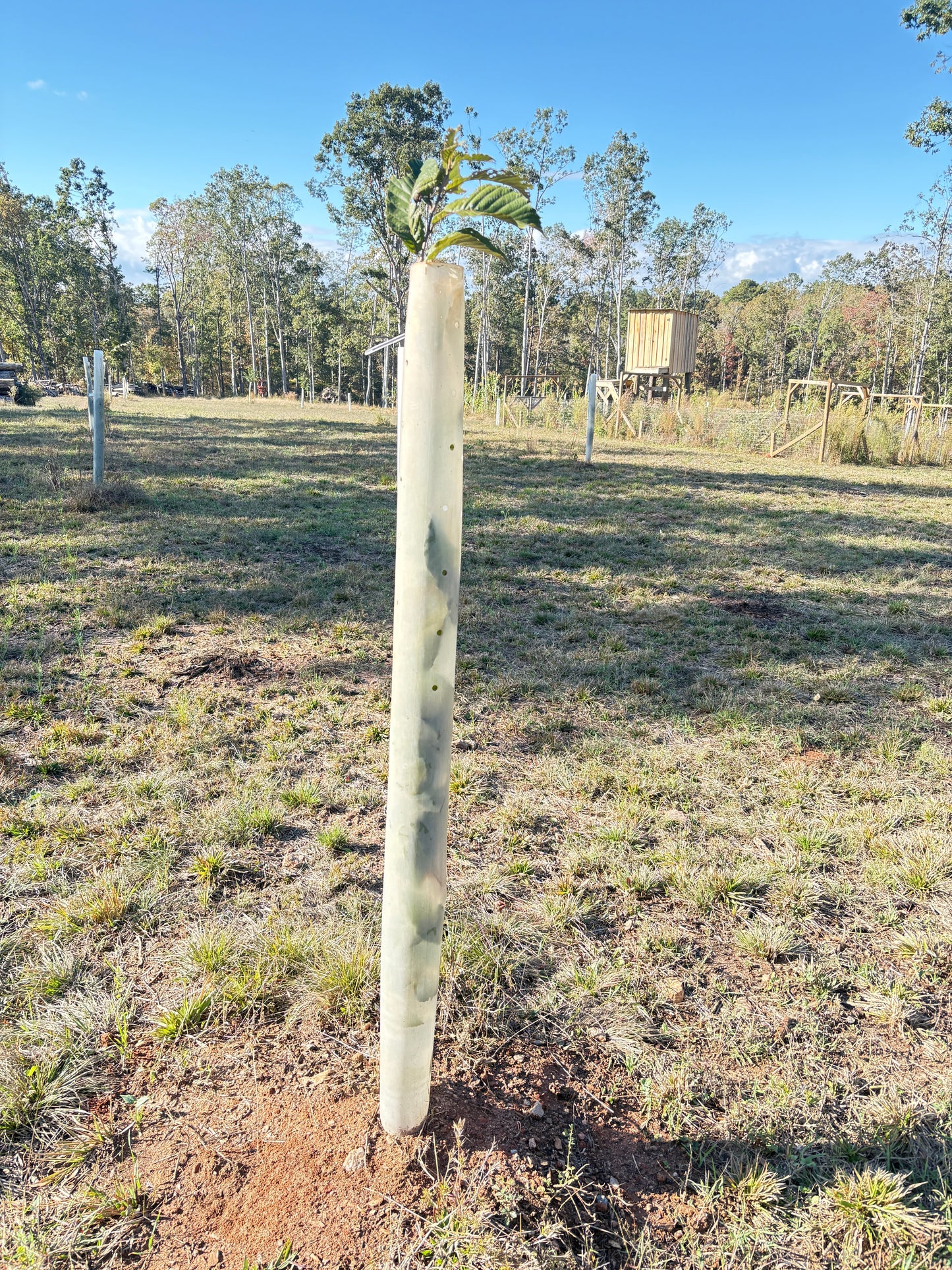 Tree Pro Tree Protector 60" Height