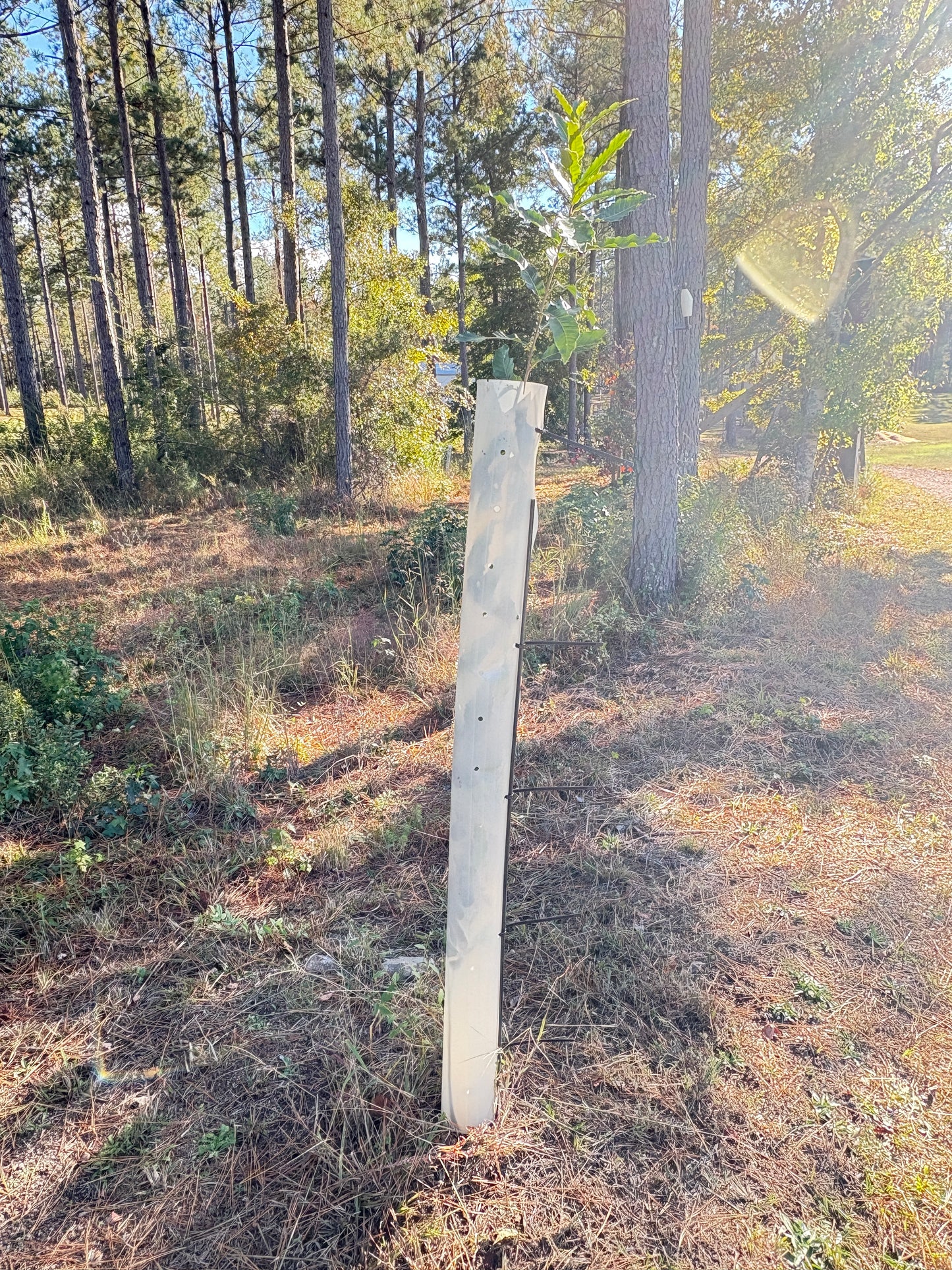 Tree Pro Tree Protector 60" Height
