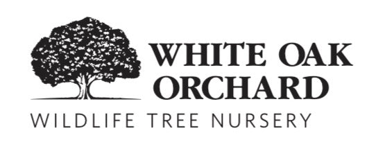 White Oak Orchard
