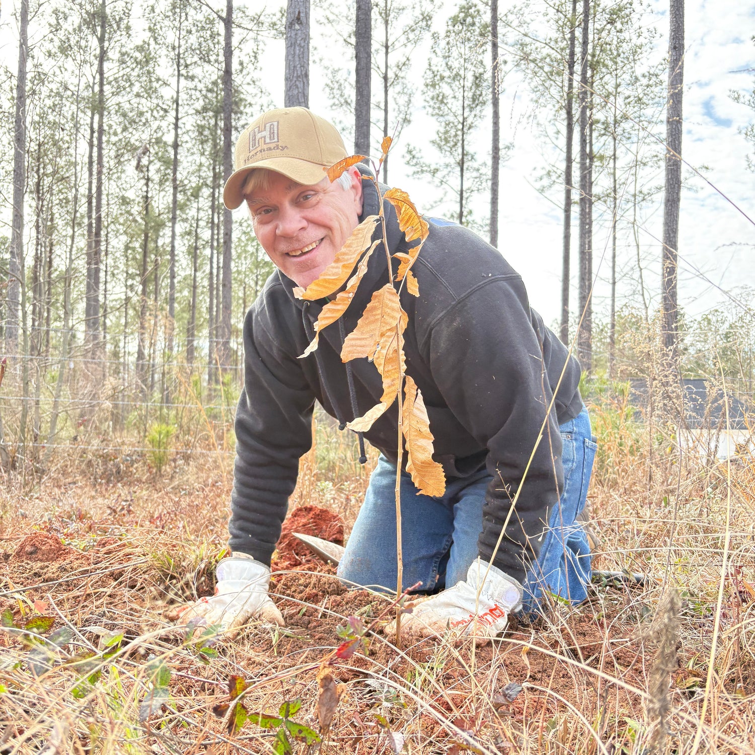 Planting a bare-root wildlife tree seedling at White Oak Orchard in South Carolina